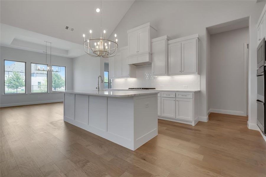 Kitchen with white cabinets, a raised ceiling, light hardwood / wood-style flooring, and a center island with sink