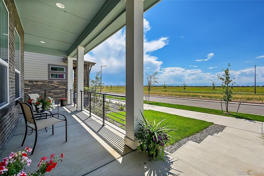 Your covered front porch with long range mountain views!