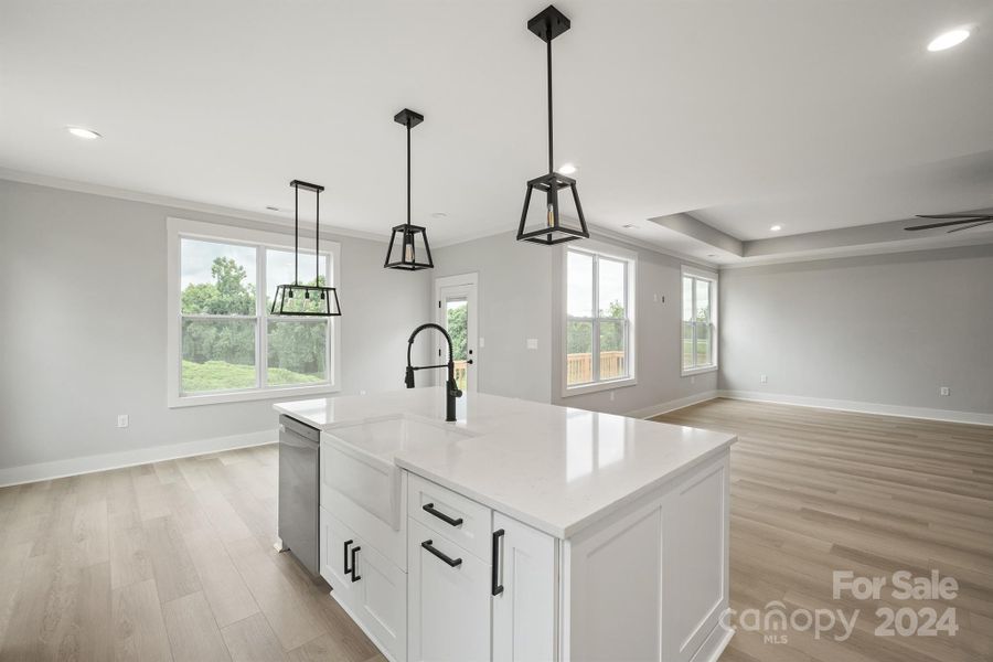 Large farm sink with extra large island. All soft close cabinets and drawers in whole house