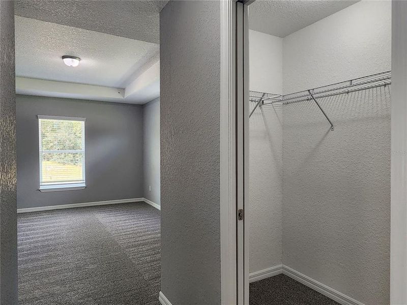 Primary Bedroom double closets