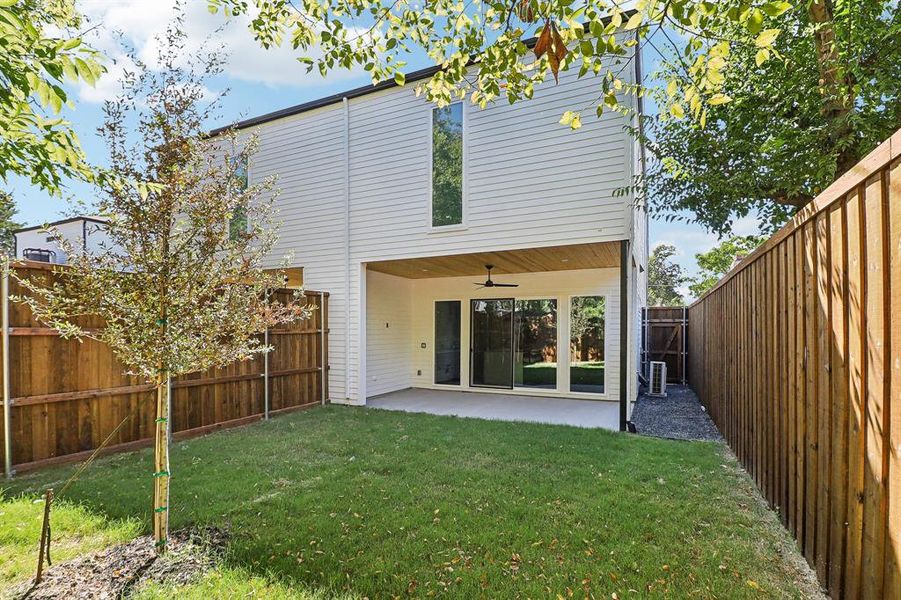 Back of property featuring a yard, a patio area, and ceiling fan