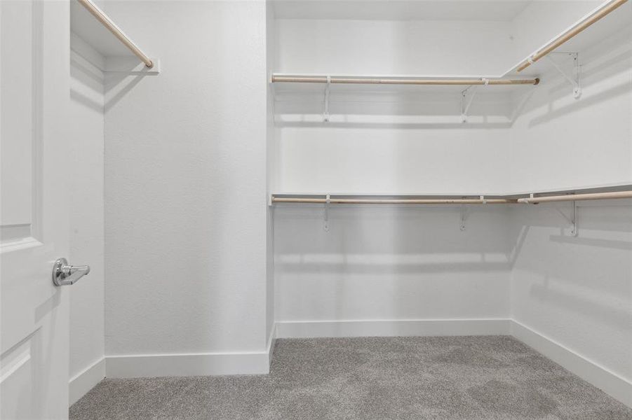 Spacious closet with carpet flooring