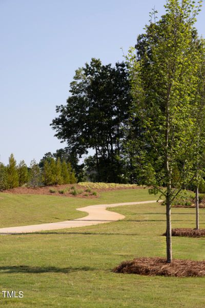 RDU_MagnoliaPark_Amenity_Social_Trail2