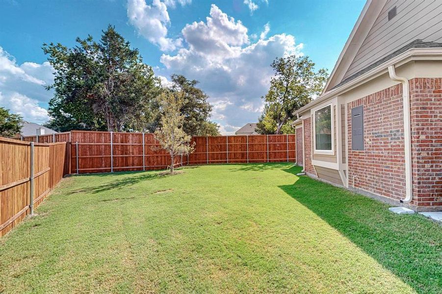 Another view of back yard