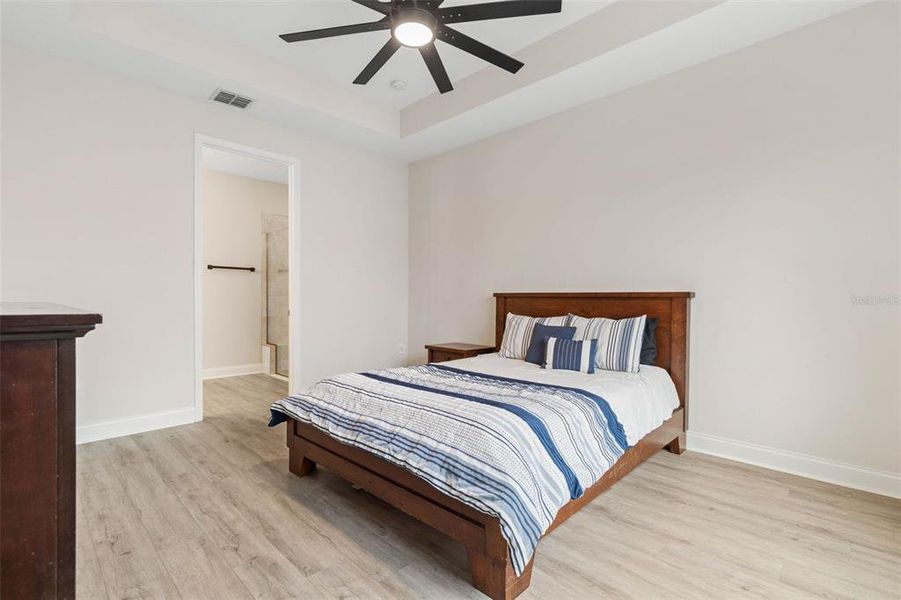 Primary Bedroom Suite with Tray Ceilings