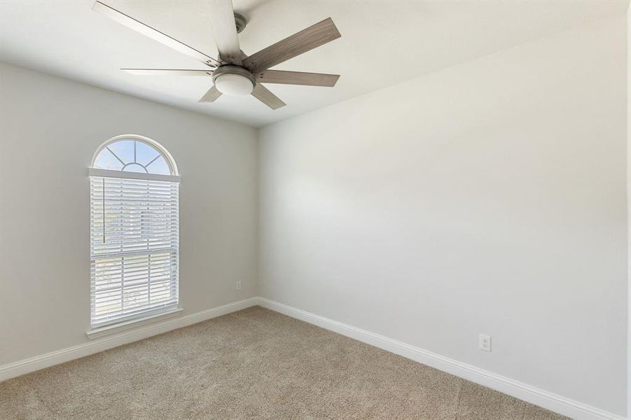 Spare room featuring a wealth of natural light, carpet flooring, and ceiling fan