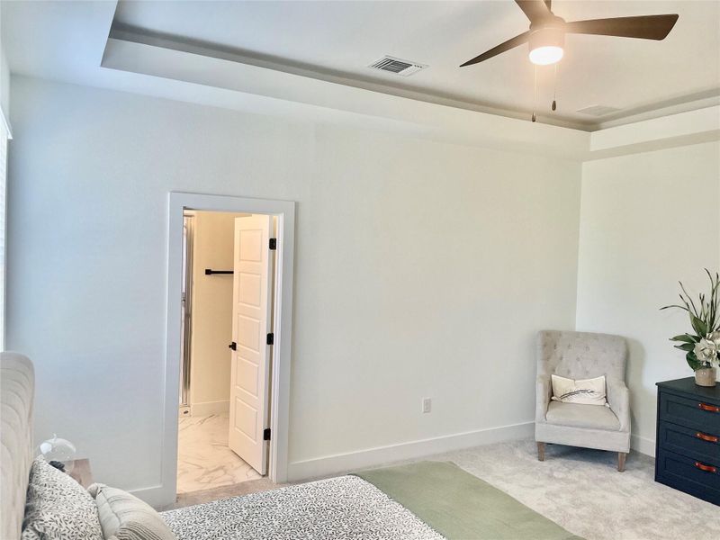 Raised ceiling at primary bedroom