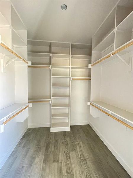 Spacious closet with dark hardwood / wood-style floors