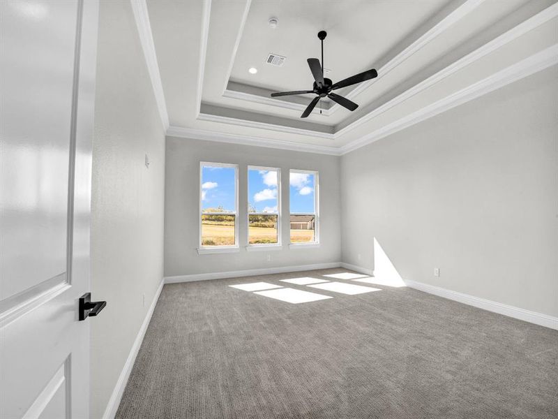 Unfurnished room with crown molding, carpet flooring, a tray ceiling, and ceiling fan