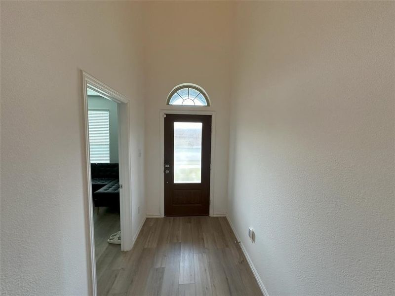 Entryway featuring light wood-type flooring and plenty of natural light