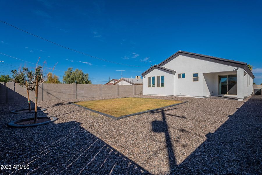 Landscaped Backyard