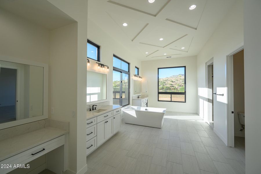 Gorgeous Master Bath