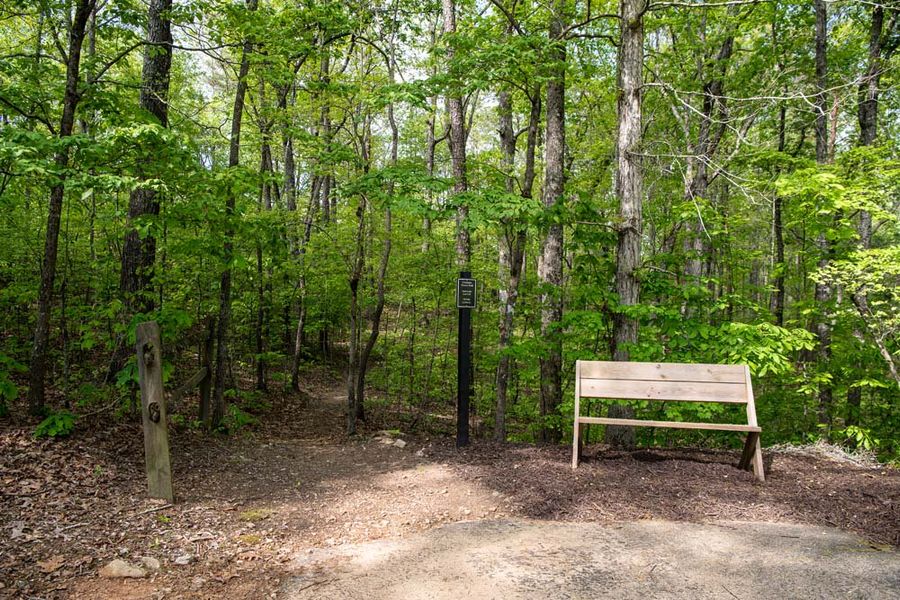 Chestatee Community Walking Trails