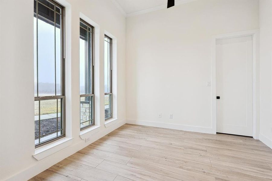 Empty room featuring light wood-type flooring and crown molding