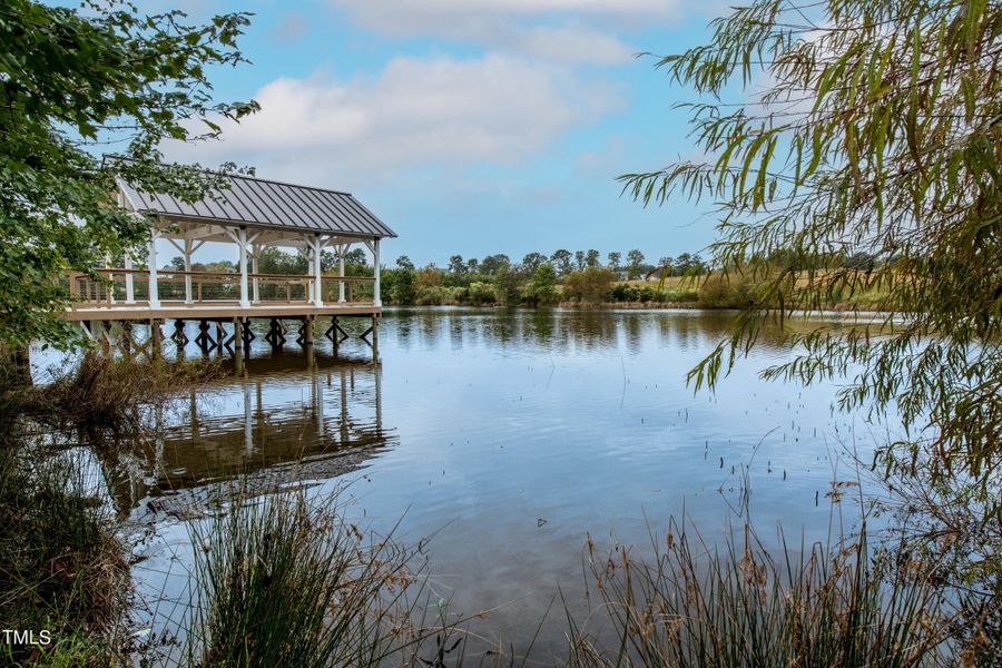 Community Pond