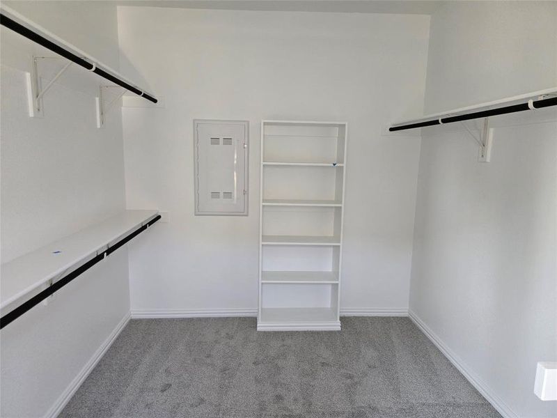 Walk in closet featuring light colored carpet and electric panel