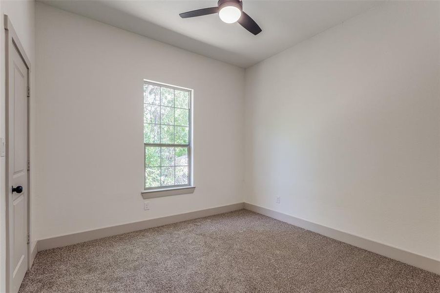 Empty room featuring a healthy amount of sunlight, ceiling fan, and carpet floors