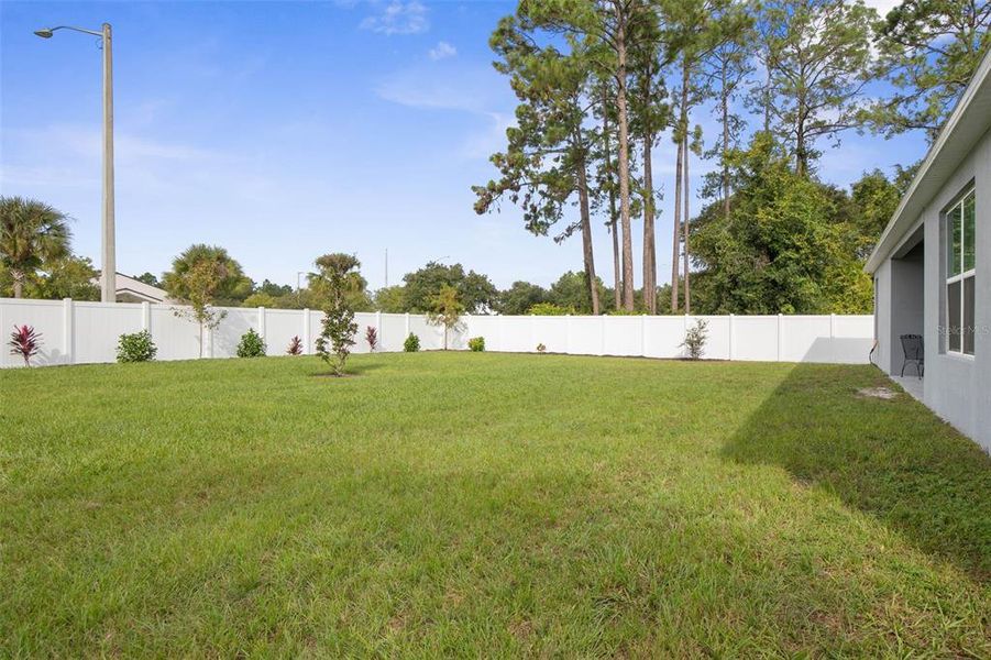 Large Fenced-in Backyard with added landscaping.