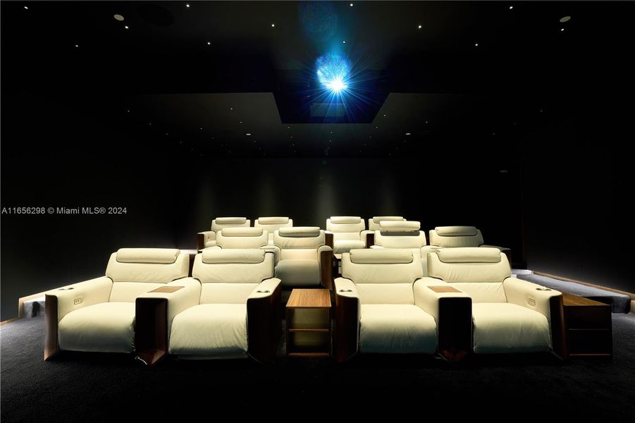 Amenities- Small Cinema