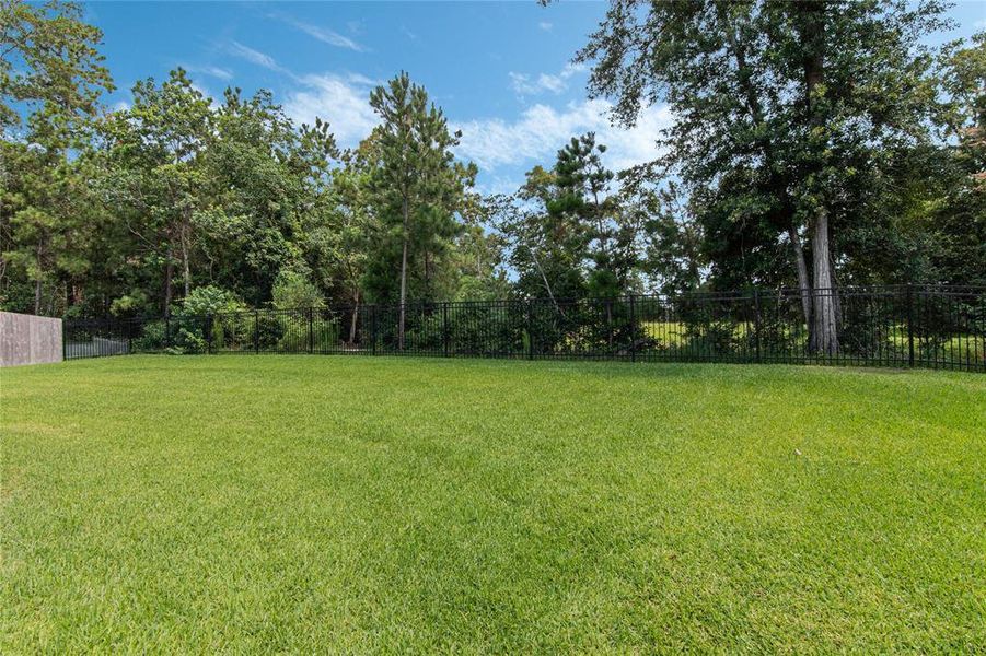Spacious backyard, all fenced in w/ no back neighbors!