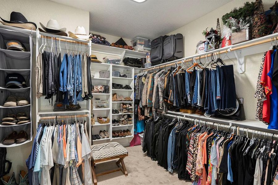 Walk in closet featuring carpet floors