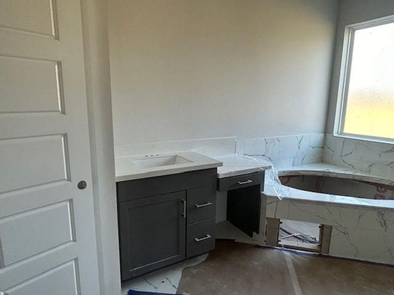 Main bath highlights dark grey cabinetry with a separate tub.