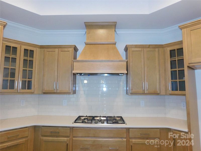 Stove and cabinet view