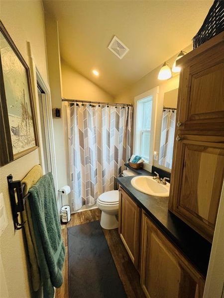 Bathroom featuring vaulted ceiling, vanity, wood-type flooring, and toilet