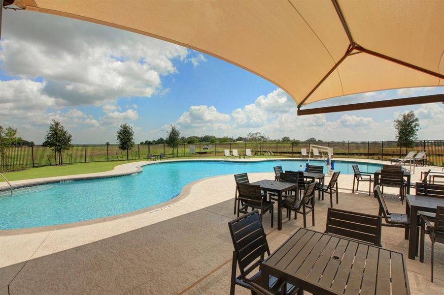 The pool comes with excellent shading for those hot summer days