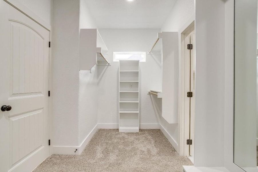 Walk in closet featuring light colored carpet