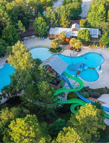 Forest Island-Freeform Amenity Pool with two 42-inch Water Slides