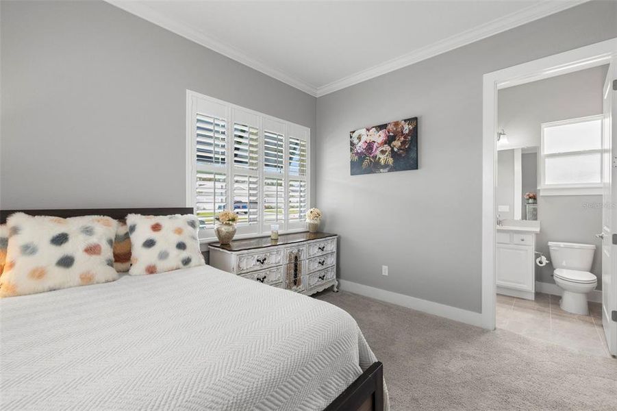 In-Law Quarters With Plantation Shutters & Crown Molding