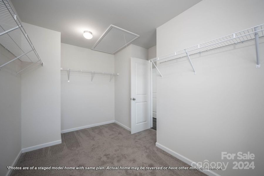 Primary walk-in closet with shelving