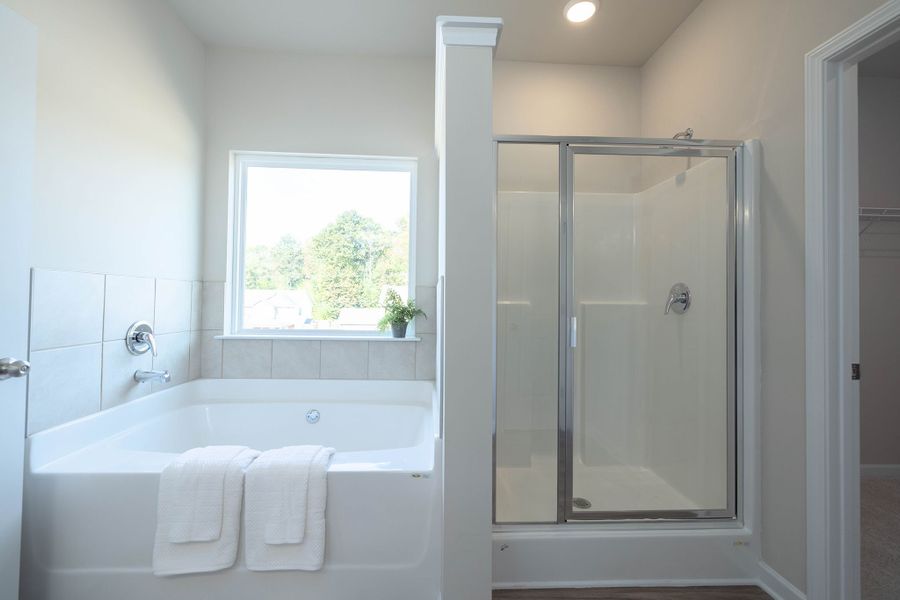 Walk in shower and free standing tub