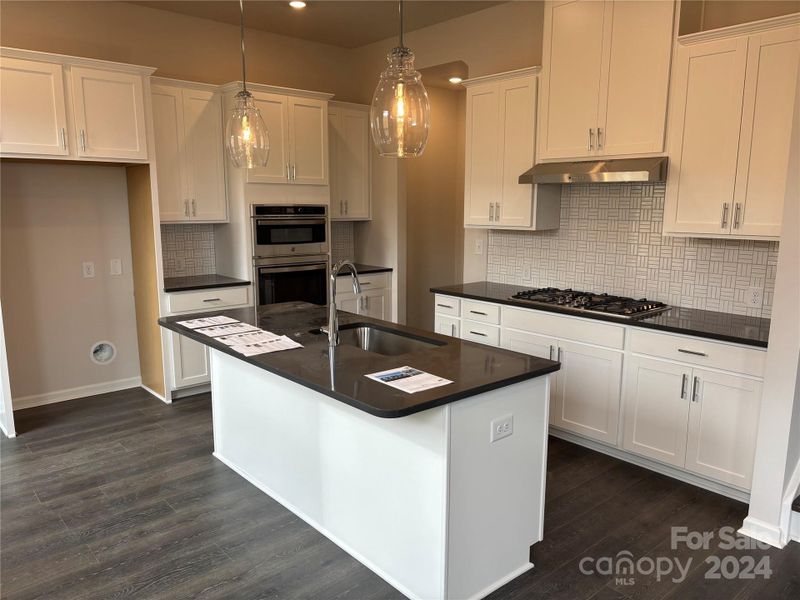 Gourmet kitchen with gas cooktop, large pantry, designer finishes and vents outside