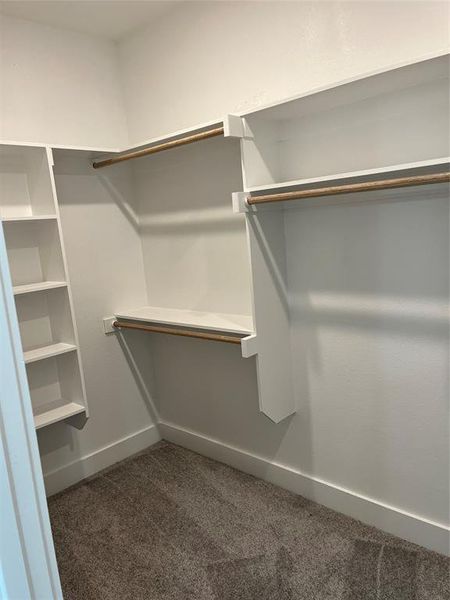 Walk in closet featuring dark colored carpet