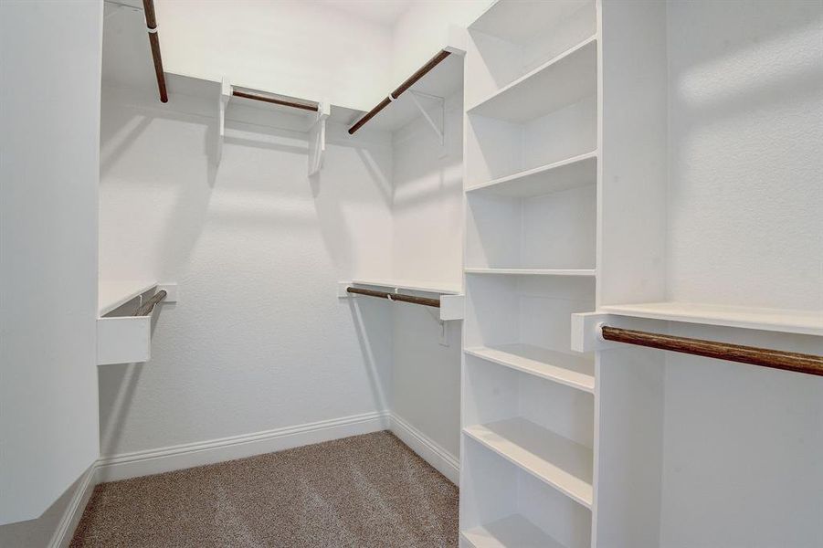 Spacious closet featuring carpet flooring