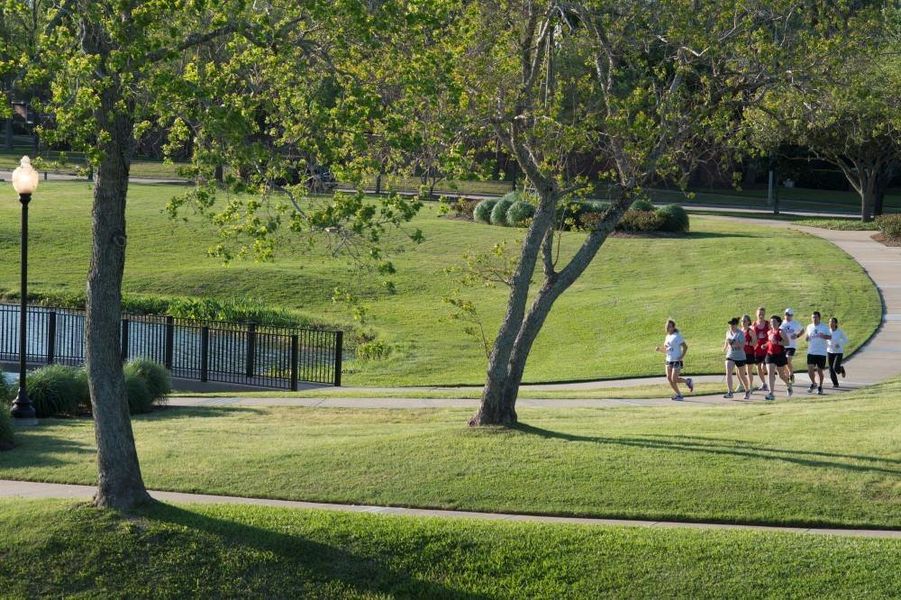 Miles of trails and ample green spaces in the neighborhood