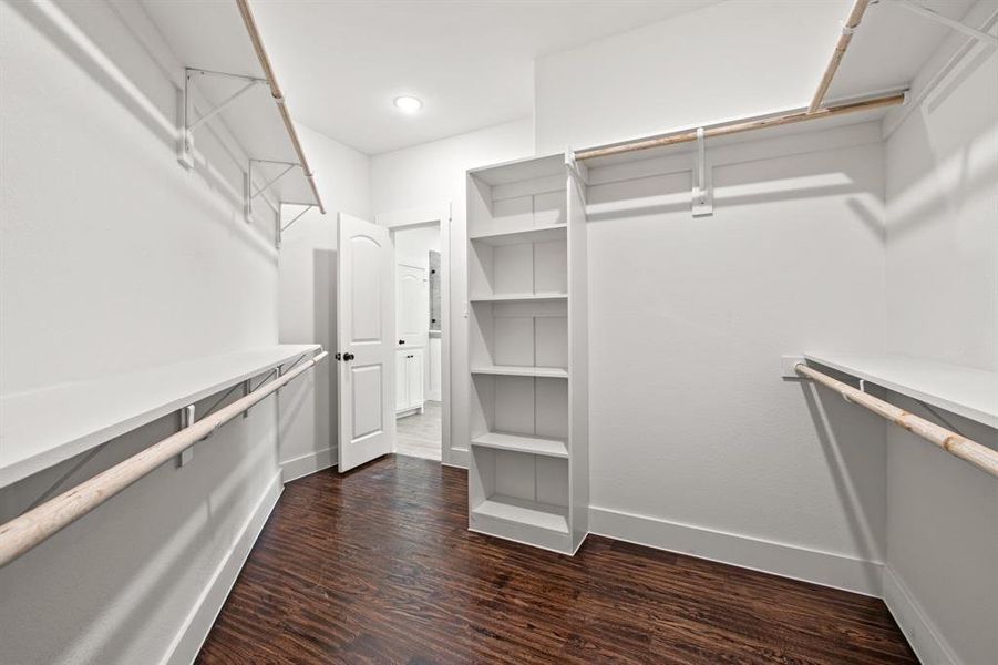 Spacious closet with dark hardwood / wood-style flooring