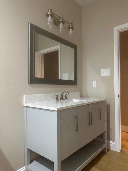 Bathroom with wood-type flooring and vanity