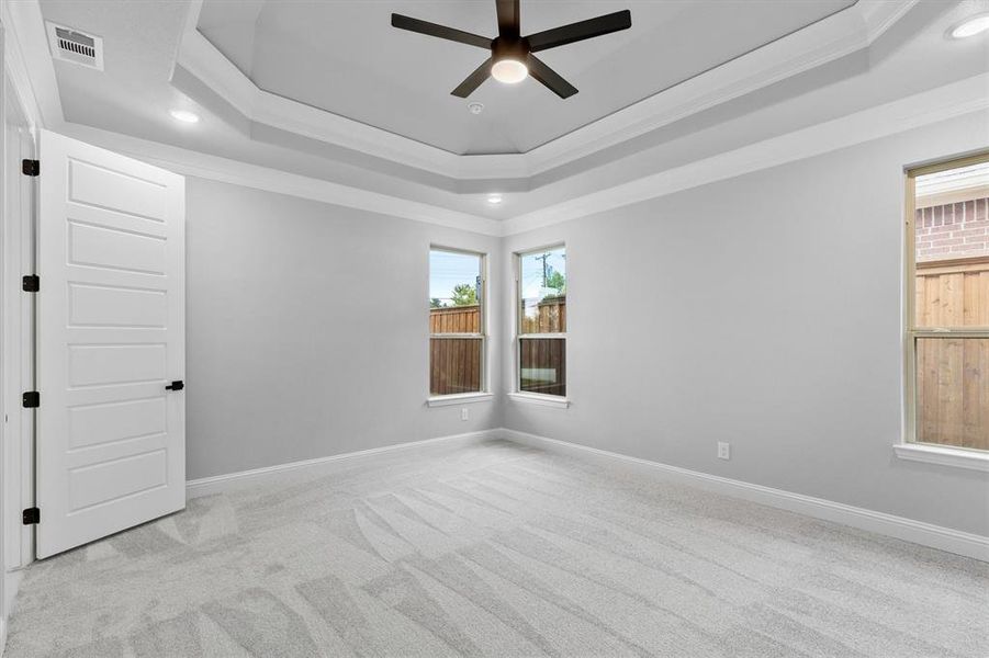 Carpeted spare room featuring ceiling fan, ornamental molding, and a tray ceiling