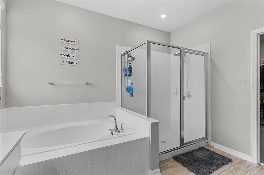 Garden Tub and Walk in Shower