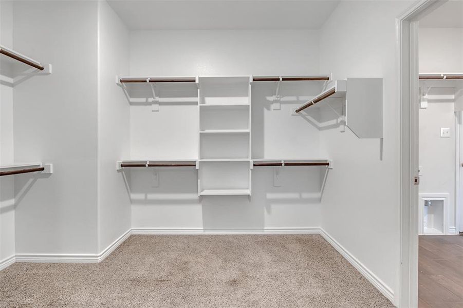 Walk in closet featuring carpet