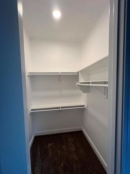 Spacious closet featuring dark colored carpet