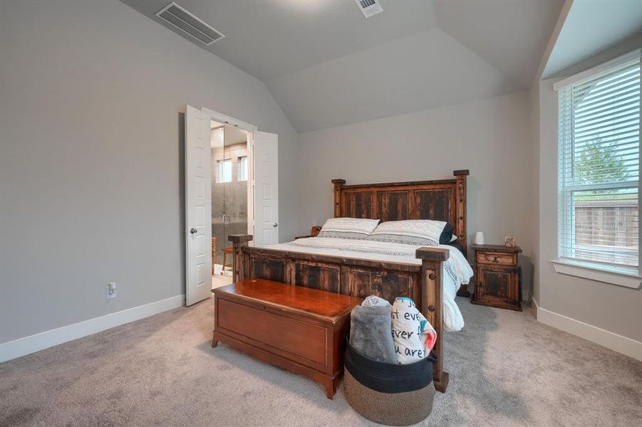 Carpeted bedroom with lofted ceiling, ensuite bathroom, and multiple windows