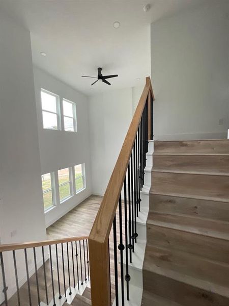 Stairs featuring light hardwood / wood-style flooring and ceiling fan