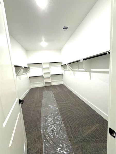 Spacious closet with dark carpet