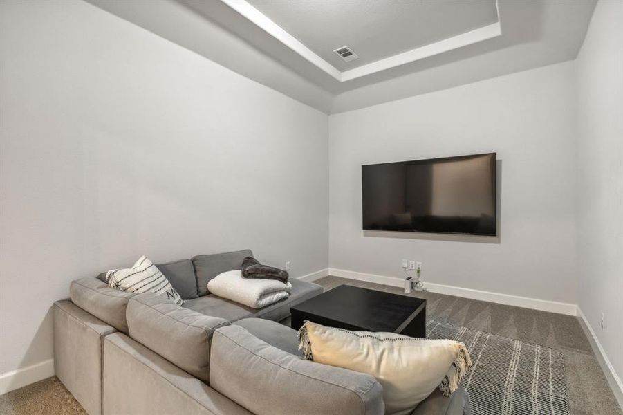 Living room featuring a tray ceiling and carpet floors