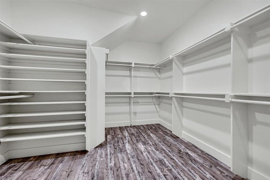 Spacious closet featuring hardwood / wood-style floors