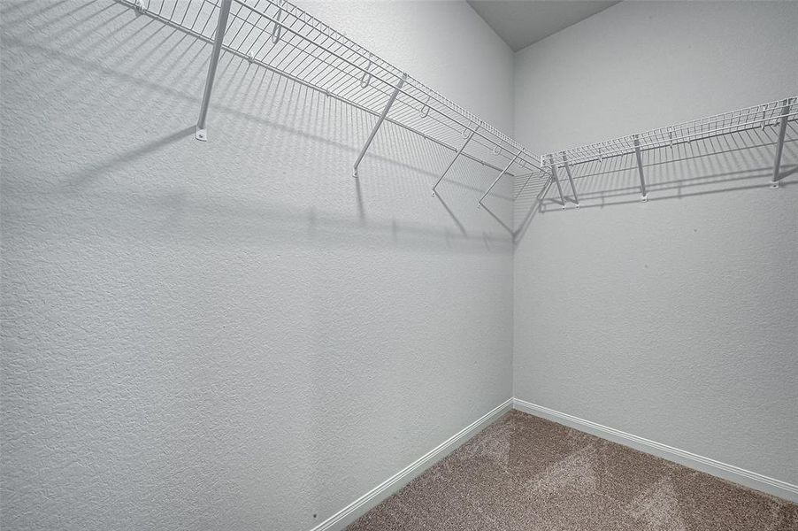 An empty walk-in closet with carpeted flooring and wire shelving on two walls.